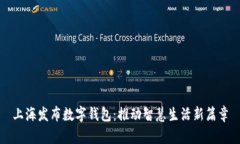 上海发布数字钱包：推动智慧生活新篇章