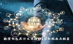 数字钱包买什么保险好？详细指南与推荐