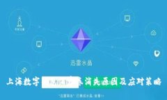 上海数字钱包消费券消失原因及应对策略