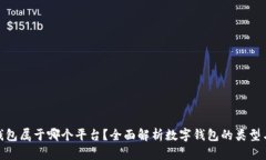 数字钱包属于哪个平台？全面解析数字钱包的类