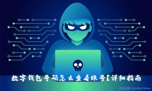 数字钱包号码怎么查看账号？详细指南