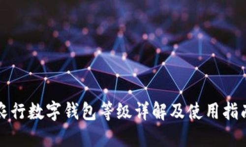 农行数字钱包等级详解及使用指南
