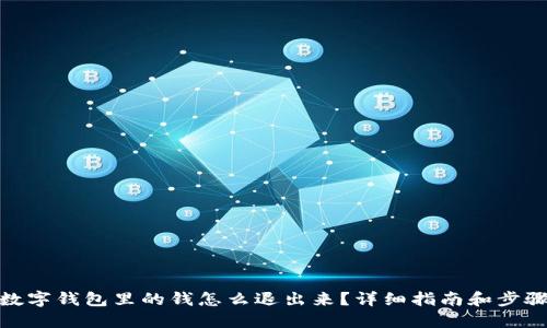 数字钱包里的钱怎么退出来？详细指南和步骤