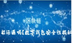 数字钱包不能还原吗？数字钱包安全性揭秘与问