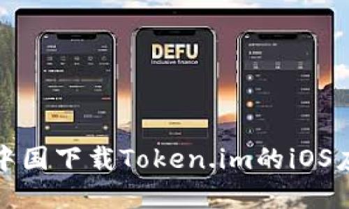 如何在中国下载Token.im的iOS应用程序