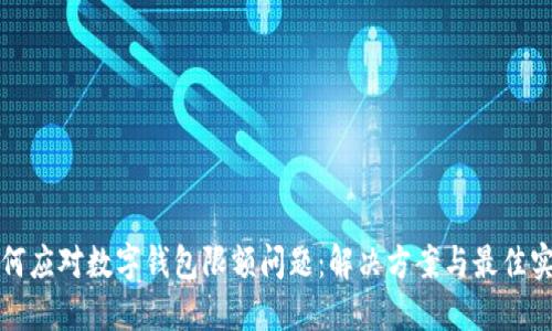 如何应对数字钱包限额问题：解决方案与最佳实践